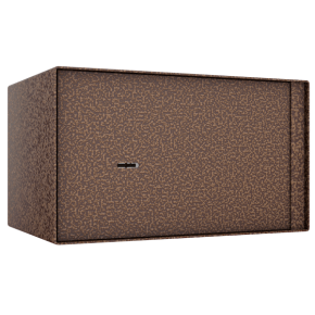 шкаф пистолетный шп-2 фото