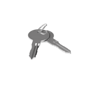 замок почтовый ригельный фото